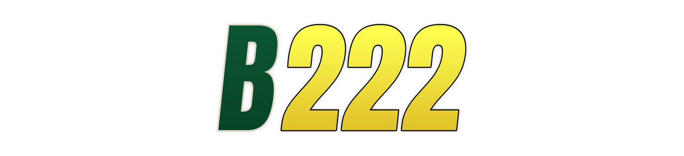 b222